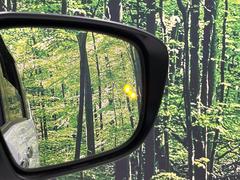 ڸѸΡ桢ɥߥ顼λѤˤʤ䤹ս˸³֤᤹ܶȥɥߥ顼ն˷ٹɽɥ饤Сմ򤷤Ƥޤ 6