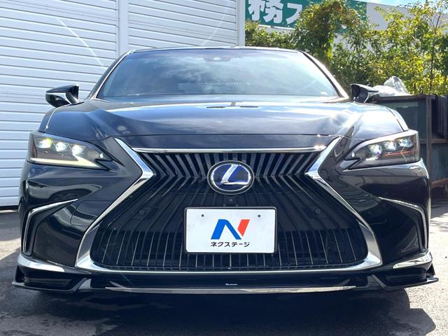 ＥＳ ＥＳ３００ｈ　バージョンＬ　ムーンルーフ　セミアニリン革シート　メモリー付パワーシート　シートベンチレーション　純正１２．３インチナビ　パノラミックビュー　セーフティシステムプラス　ブラインドスポット　純正１８インチＡＷ　禁煙車（16枚目）