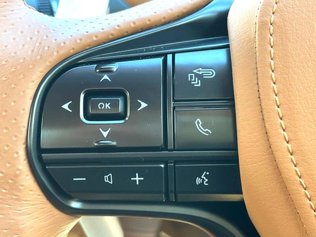 ＬＣ ＬＣ５００ｈ　Ｌパッケージ　マークレビンソン　純正ＯＰ２１インチＡＷ　パノラマルーフ　セーフティシステムプラス　セミアニリン革シート　パワーシート　純正１０．３インチナビ　バックカメラ　フルＬＥＤヘッド　革巻きステアリング　禁煙（44枚目）