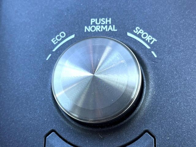 IS IS300 バージョンL クリアランスソナー セミアニリン革 メモリー付パワーシート シートベンチレーション セーフティシステムプラス フルLEDヘッド 純正10.3インチナビ バックカメラ 純正17インチAW パドルシフト(35枚目)