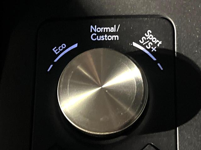 IS IS350 FスポーツモードブラックIII 後期 ムーンルーフ 純正10.3インチナビ パノラミックビュー オレンジブレーキキャリパー 三眼LEDヘッド 純正19インチBBS製AW セーフティシステムプラス ブラインドスポット レーダークルーズ(56枚目)