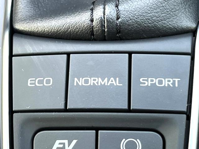 カムリ ＷＳ　セーフティセンス　ブラインドスポット　純正ナビ　バックカメラ　インテリジェントクリアランスソナー　ハーフレザー　パワーシート　ＬＥＤヘッド　純正１７インチＡＷ　革巻きステアリング　パドルシフト　禁煙車（63枚目）