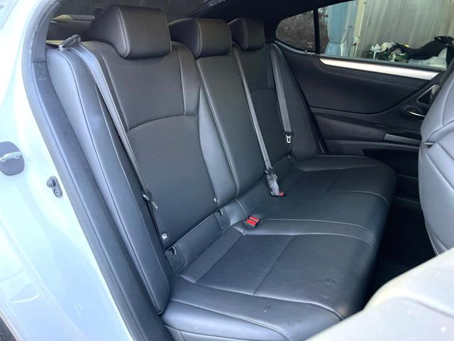ＥＳ ＥＳ３００ｈ　Ｆスポーツ　マークレビンソン　黒革　ムールーフ　ブラインドスポット　セーフティシステムプラス　純正１２．３インチナビ　バックカメラ　純正１９インチＡＷ　革巻きステアリング　ステアリングヒーター　三眼ＬＥＤヘッド（12枚目）