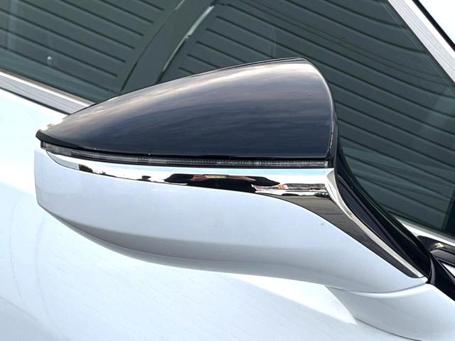 ＥＳ ＥＳ３００ｈ　Ｆスポーツ　マークレビンソン　黒革　ムールーフ　ブラインドスポット　セーフティシステムプラス　純正１２．３インチナビ　バックカメラ　純正１９インチＡＷ　革巻きステアリング　ステアリングヒーター　三眼ＬＥＤヘッド（32枚目）