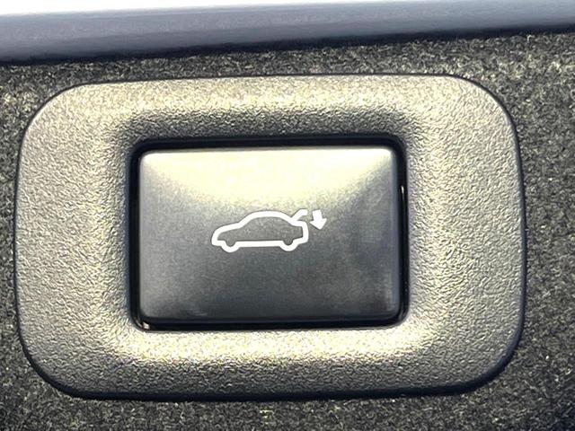 ＥＳ ＥＳ３００ｈ　Ｆスポーツ　マークレビンソン　黒革　ムールーフ　ブラインドスポット　セーフティシステムプラス　純正１２．３インチナビ　バックカメラ　純正１９インチＡＷ　革巻きステアリング　ステアリングヒーター　三眼ＬＥＤヘッド（46枚目）