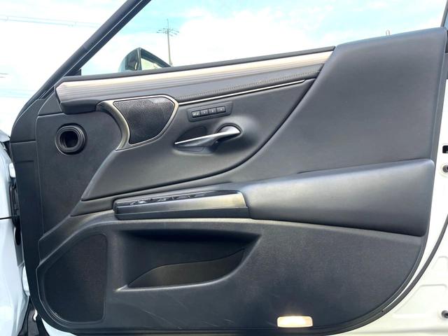 ＥＳ ＥＳ３００ｈ　Ｆスポーツ　マークレビンソン　黒革　ムールーフ　ブラインドスポット　セーフティシステムプラス　純正１２．３インチナビ　バックカメラ　純正１９インチＡＷ　革巻きステアリング　ステアリングヒーター　三眼ＬＥＤヘッド（48枚目）