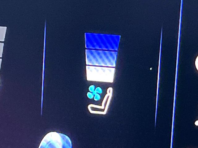 ＥＳ ＥＳ３００ｈ　Ｆスポーツ　マークレビンソン　黒革　ムールーフ　ブラインドスポット　セーフティシステムプラス　純正１２．３インチナビ　バックカメラ　純正１９インチＡＷ　革巻きステアリング　ステアリングヒーター　三眼ＬＥＤヘッド（63枚目）