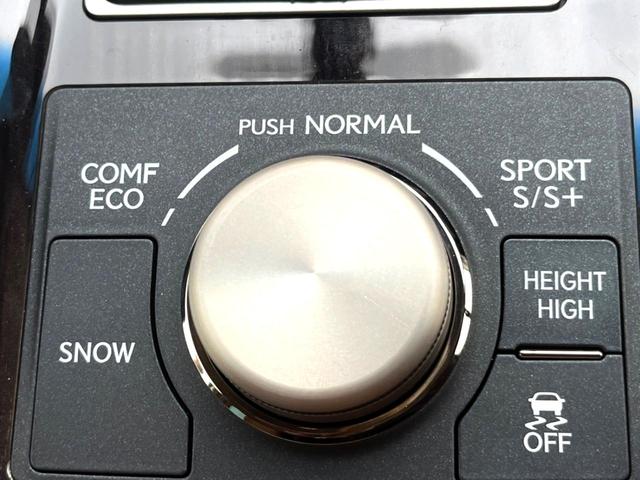 ＬＳ ＬＳ４６０　バージョンＣ　Ｉパッケージ　後期ムーンルーフ　モデリスタフロントスポイラー　プリクラッシュ　茶革　純正ナビ　バックカメラ　レーダークルーズ　ブラインドスポット　純正１８インチＡＷ　メモリー付パワーシート　ウッドコンビステアリング（49枚目）