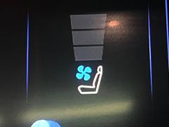 ڥȥ٥졼۲ƾäǤǮɤߤϥ᤯ޤäƥݥݥˡ鷺Ŭ˲ᤴޤ 6
