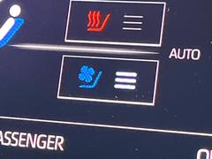 ڥȥ٥졼۲ƾäǤǮɤߤϥ᤯ޤäƥݥݥˡ鷺Ŭ˲ᤴޤ 6