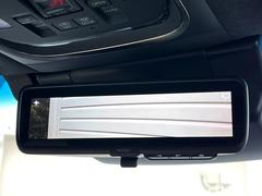 ڥǥ륤ʡߥ顼۸ʤ礭ʲʪƱԤǸǧŤ餤Ǥ¿餬Ƥξα롼ߥ顼ɽꥢʻ볦ǾγǧǽǤ 5