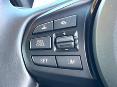 �ڥ졼�������롼������ȥ�����۹�®ƻϩ�Ǥ�Ĺ��Υ���Ԥ��ڤˡ�����ư��®�٤��ݤĥ��롼������ȥ����뤬�����ͷڸ������ƥ��Ϣ�Ȥ��������μ�ξ���Τ��Ƽִ֤��ݤĤ褦��®��Ĵ�ᤷ�Ƥ���ޤ����� 7