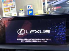 �ڣ�������������磻�ɥʥӡ۹�鴶�ȥ���ѥ��ȤΤ����緿�磻�ɥʥӤ��������Ƽ索���ǥ������Ϥ�����󡢲�Ĺ�磻�ɲ��̤ǤΥޥåף�ʬ��ɽ���ʤɡ���������⤤�ʥӤǤ��� 3