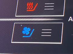 �ڥ����ȥ٥���졼�����۲ƾ���ä������Ǥ����������Ǯ������ɤ����ߤϥ�����������᤯���ޤäƥݥ��ݥ��ˡ��������鷺��Ŭ�˲ᤴ���ޤ��� 7