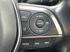 �ڥ����ȥҡ������۴������˽������륷���ȥҡ������������������᤯���ޤäƤ����ΤǴ�����οͤ�¿��Ǥ��͢���������β����ϴ��礹�뤫���ꡢ�Ȥ������ˤ�򤪤�����Ǥ��� 6