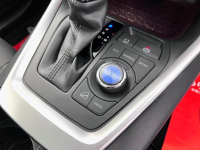 RAV4 G Zパッケージ 10.5DA 全周囲モニター パノラマルーフ MODELLISTAエアロ デジタルミラー BSM HDMI入力端子 電動バックドア 純正前後ドラレコ 19インチAW シートヒータークーラー 純正マット(25枚目)