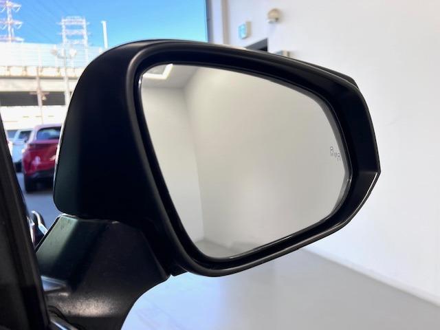 アルファード 2.5S JBL リヤエンター サンルーフ デジタルミラー BSM ETC2.0 全方位モニター MODELLISTAエアロ・イルミ・マフラー ウェッズ19インチAW 前後ドラレコ レーダー探知機 純正マット(16枚目)