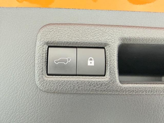 ＮＸ ＮＸ３００　Ｆスポーツ　ＴＲＤエアロ・マフラー　白革　サンルーフ　ＥＴＣ２．０　バック・サイドカメラ　ＨＵＤ　パワーバックドア　シートヒーター・クーラー　純正フロアマット　前後ドライブレコーダー　ワンオーナー（45枚目）