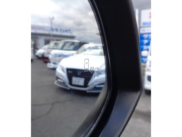 �u���C���h�X�|�b�g���j�^�[