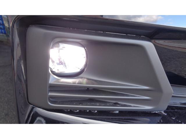 �t�����g�t�H�O���C�g