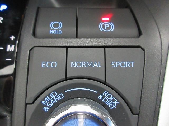 ＲＡＶ４ アドベンチャー　オフロードパッケージ　踏み間違い加速抑制　タイヤ新　ドラレコ　ディーラー保証１年走行距離無制限　トヨタ認定中古車　ディスプレイオーディオ　ナビ　フルセグ　バックカメラ　ＥＴＣ　ＬＥＤヘッドランプ　シートヒーター　純正アルミ（45枚目）