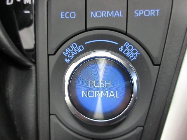 ＲＡＶ４ アドベンチャー　オフロードパッケージ　踏み間違い加速抑制　タイヤ新　ドラレコ　ディーラー保証１年走行距離無制限　トヨタ認定中古車　ディスプレイオーディオ　ナビ　フルセグ　バックカメラ　ＥＴＣ　ＬＥＤヘッドランプ　シートヒーター　純正アルミ（46枚目）