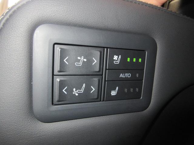 アルファード Ｚ　雹害車　社用車　ディーラー保証１年付き　走行距離無制限　トヨタ認定中古車　両側パワースライド　全方位モニタ　ディスプレイオーディオ　ナビ　ＥＴＣ　ＬＥＤヘッドランプ　純正アルミホイール　電動リアゲート（29枚目）