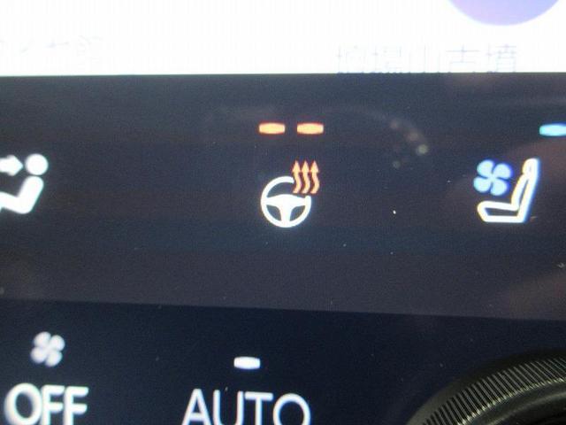 アルファード Ｚ　雹害車　社用車　ディーラー保証１年付き　走行距離無制限　トヨタ認定中古車　両側パワースライド　全方位モニタ　ディスプレイオーディオ　ナビ　ＥＴＣ　ＬＥＤヘッドランプ　純正アルミホイール　電動リアゲート（45枚目）