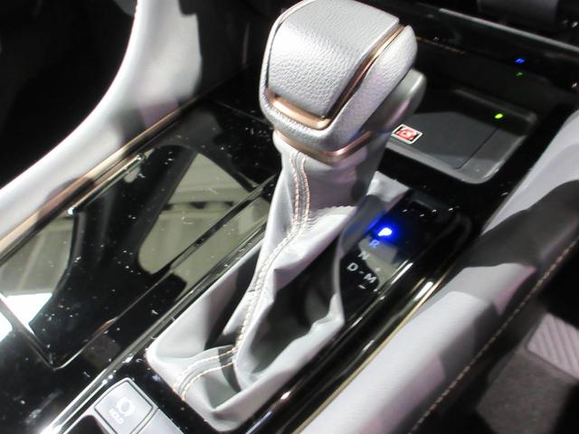 アルファード Ｚ　雹害車　社用車　ディーラー保証１年付き　走行距離無制限　トヨタ認定中古車　両側パワースライド　全方位モニタ　ディスプレイオーディオ　ナビ　ＥＴＣ　ＬＥＤヘッドランプ　純正アルミホイール　電動リアゲート（51枚目）