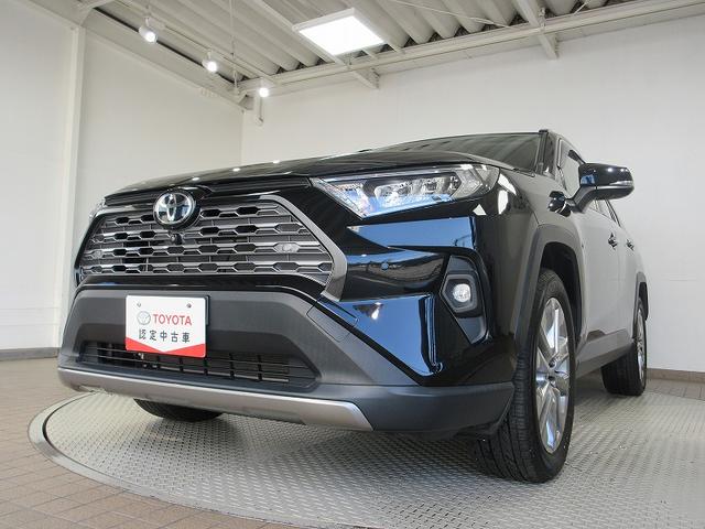 ＲＡＶ４ Ｇ　Ｚパッケージ　踏み間違い加速抑制　全方位モニタ　保証１年間走行距離無制限　ディスプレイオーディオ　ナビ　フルセグ　バックカメラ　ＥＴＣ　ＬＥＤヘッドランプ　シートヒータークール　パワーシート　純正アルミ　電動リア（19枚目）