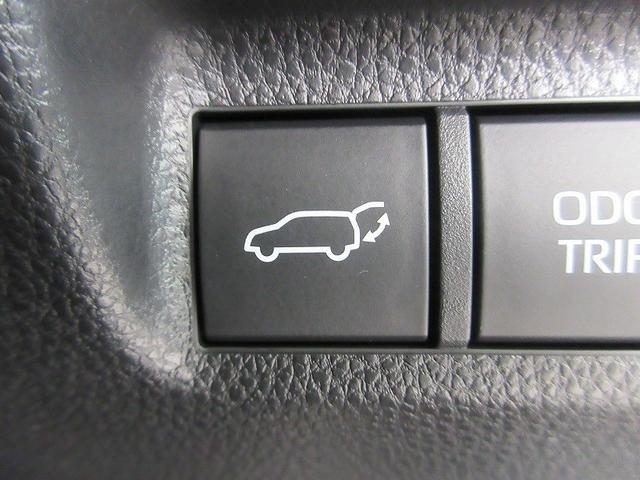 ＲＡＶ４ Ｇ　Ｚパッケージ　踏み間違い加速抑制　全方位モニタ　保証１年間走行距離無制限　ディスプレイオーディオ　ナビ　フルセグ　バックカメラ　ＥＴＣ　ＬＥＤヘッドランプ　シートヒータークール　パワーシート　純正アルミ　電動リア（45枚目）