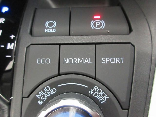 ＲＡＶ４ Ｇ　Ｚパッケージ　踏み間違い加速抑制　全方位モニタ　保証１年間走行距離無制限　ディスプレイオーディオ　ナビ　フルセグ　バックカメラ　ＥＴＣ　ＬＥＤヘッドランプ　シートヒータークール　パワーシート　純正アルミ　電動リア（47枚目）