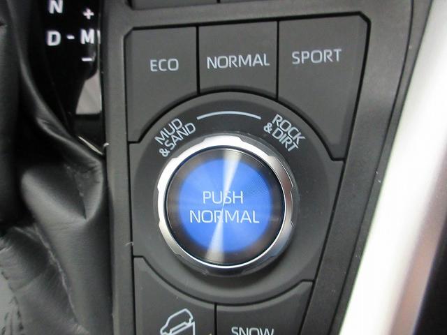 ＲＡＶ４ Ｇ　Ｚパッケージ　踏み間違い加速抑制　全方位モニタ　保証１年間走行距離無制限　ディスプレイオーディオ　ナビ　フルセグ　バックカメラ　ＥＴＣ　ＬＥＤヘッドランプ　シートヒータークール　パワーシート　純正アルミ　電動リア（48枚目）