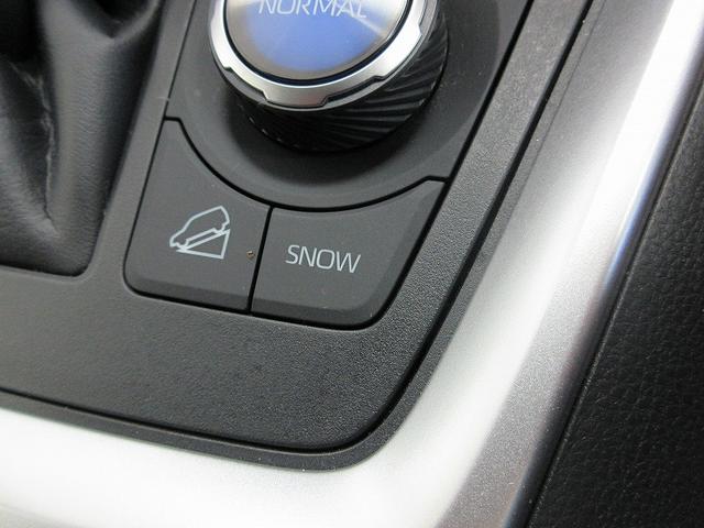 ＲＡＶ４ Ｇ　Ｚパッケージ　踏み間違い加速抑制　全方位モニタ　保証１年間走行距離無制限　ディスプレイオーディオ　ナビ　フルセグ　バックカメラ　ＥＴＣ　ＬＥＤヘッドランプ　シートヒータークール　パワーシート　純正アルミ　電動リア（49枚目）