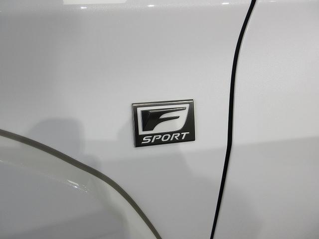 ＵＸ ＵＸ２５０ｈ　Ｆスポーツ　踏み間違い時加速抑制　ディーラー保証１年　ディスプレイオーディオ　ナビ　フルセグ　バックカメラ　ＥＴＣ　スマートキー　ＬＥＤヘッドランプ　レザーシート　パワーシート　純正アルミホイール　電動リア（68枚目）