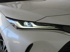 ⵱٤®٤®Ϥξʤ̣ţĥإåɥפܤƤޤǳ˹׸뤤פǤ 7