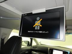 ʥ˥ܤʤΤǡʤưλİڤޤʤΤ²ڤ󥰥ɥ饤֤˽гݤޤʤͤ뤴ˤȤƤ͵Ǥ 3