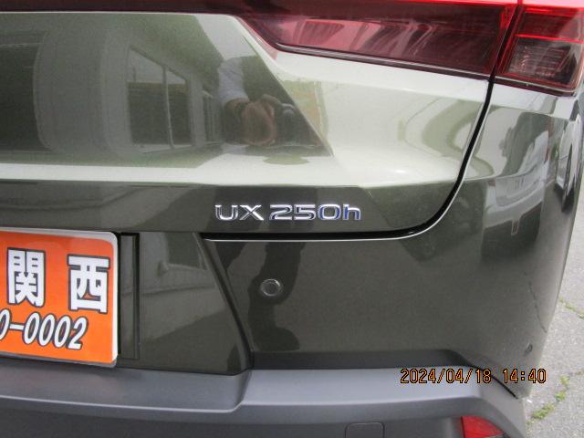 ＵＸ ＵＸ２５０ｈ　バージョンＬ（10枚目）