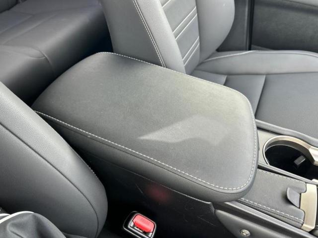 NX NX300hスパイスアンドシック サンルーフ/保証書/純正 10.3インチ メモリーナビ/プリクラッシュセーフティ/エアーシート 前席/パノラミックビューモニター/車線逸脱防止支援システム/シート フルレザー 革シート 全周囲カメラ(31枚目)