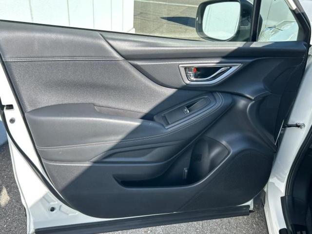 �u���̎Ԃ̎ʐ^�������ƌ������v�u��Ԃ��C�ɂȂ�v�u���̑����͂��Ă���H�v�ǂ�ȏ����ȋ^��ł����C�y�ɂ��₢���킹���������I