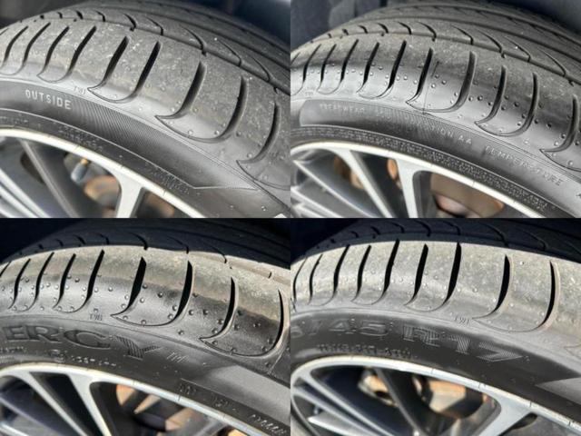 �u���̎Ԃ̎ʐ^�������ƌ������v�u��Ԃ��C�ɂȂ�v�u���̑����͂��Ă���H�v�ǂ�ȏ����ȋ^��ł����C�y�ɂ��₢���킹���������I