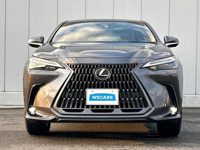 ＮＸ ＮＸ２５０バージョンＬ　保証書／ディスプレイオーディオ＋ナビ１２．３インチ／プリクラッシュセーフティ／シートヒーター／パノラミックビューモニター／車線逸脱防止支援システム／シート　フルレザー　革シート　衝突被害軽減システム（42枚目）