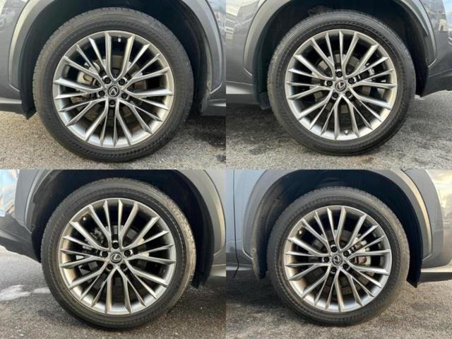 ＮＸ ＮＸ２５０バージョンＬ　保証書／ディスプレイオーディオ＋ナビ１２．３インチ／プリクラッシュセーフティ／シートヒーター／パノラミックビューモニター／車線逸脱防止支援システム／シート　フルレザー　革シート　衝突被害軽減システム（50枚目）