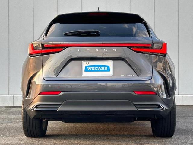 ＮＸ ＮＸ２５０バージョンＬ　保証書／ディスプレイオーディオ＋ナビ１２．３インチ／プリクラッシュセーフティ／シートヒーター／パノラミックビューモニター／車線逸脱防止支援システム／シート　フルレザー　革シート　衝突被害軽減システム（43枚目）