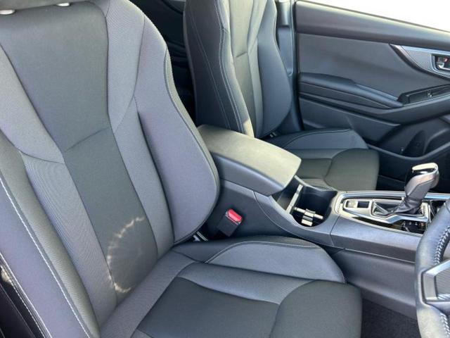 �u���̎Ԃ̎ʐ^�������ƌ������v�u��Ԃ��C�ɂȂ�v�u���̑����͂��Ă���H�v�ǂ�ȏ����ȋ^��ł����C�y�ɂ��₢���킹���������I