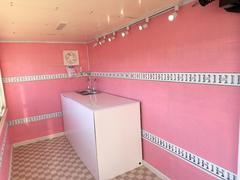 �������󡦥��å��󥫡����͡������ȥޥ�ǥ롣�����ߥ륭���⥫���ۥ磻�ȡ����쥤�١�����Ȥ�ޯ��Ǥ���������İ����ԥ󥯤ǻž夲�Ѥߡ����ʣץ�����ˤϣ������̥����꥿�󥯤򣲸��������Ź��ߵ��Ĥ��ǽ�� 2