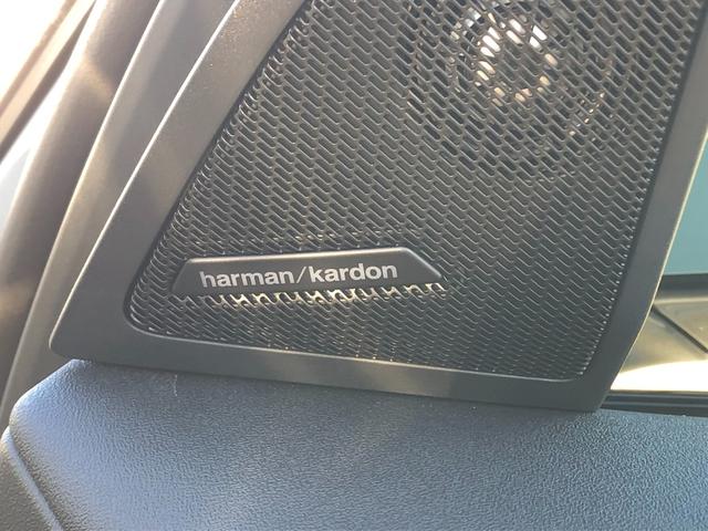 Ｘ３ ２０ｄ　ｘＤｒｉｖｅ　Ｍスポーツ　２年保証付　パノラマ　ＨＵＤ　ハーマンＫ　白合革　Ｖシート　ステアリングＨ　電動シートＨ前後　ＡＣＣ　全周囲　電動ゲート　地デジ　コンフォートＰＫＧ　２０ＡＷ　弊社デモカー　禁煙車認定中古車（14枚目）