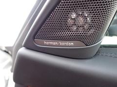 ハーマンカードンのカースピーカーは良質な音を届けると同時に、その先にある車内空間における上質な“音楽体験”も提供している。 7