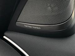 ハーマンカードンのカースピーカーは良質な音を届けると同時に、その先にある車内空間における上質な“音楽体験”も提供している。 6