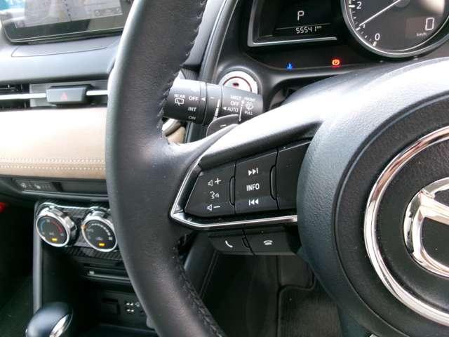 ＣＸ－３ １５Ｓアーバンドレッサー（12枚目）